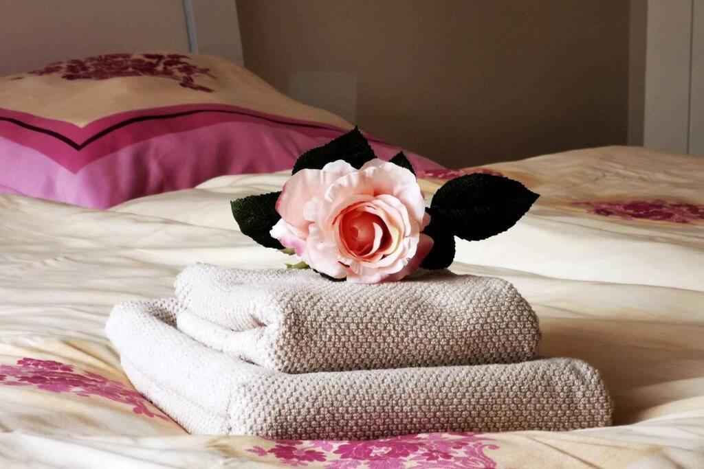 Willi'S Ferienwohnung Heroldsberg エクステリア 写真